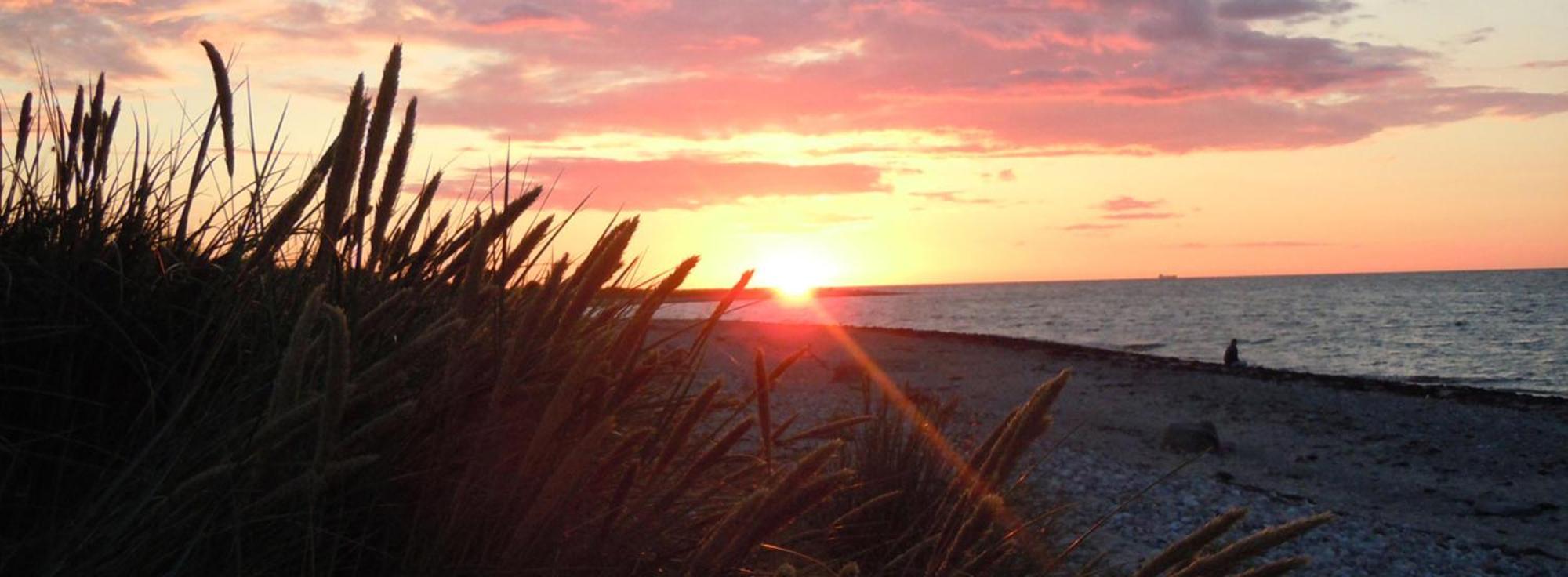 Ostsee Huus Burg auf Fehmarn Esterno foto